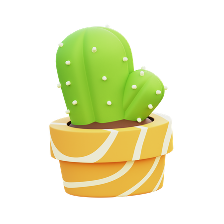 Maceta de cactus  3D Icon