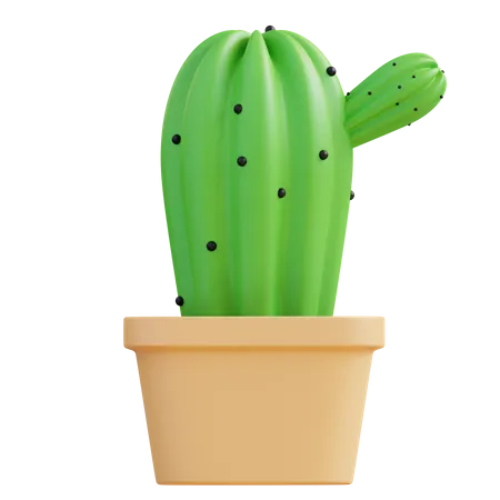 Maceta de cactus  3D Icon