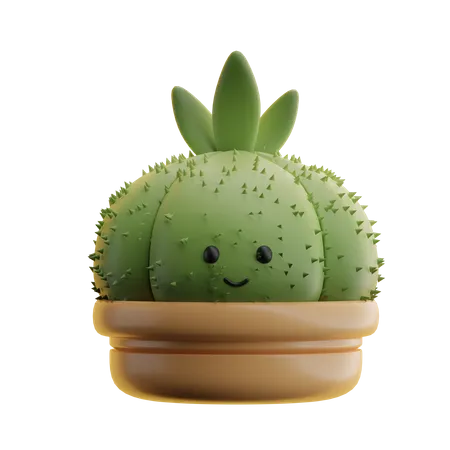 Maceta de cactus  3D Icon