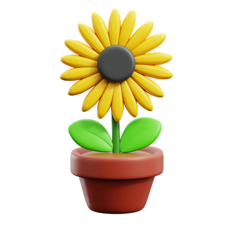 Maceta de girasol  3D Icon