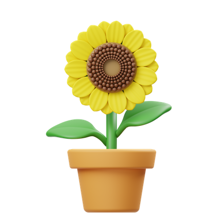 Maceta de girasol  3D Icon