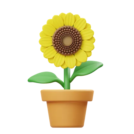 Maceta de girasol  3D Icon