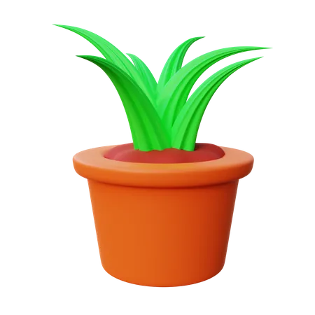 Maceta  3D Icon