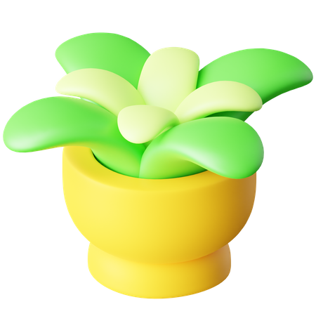 Maceta  3D Icon