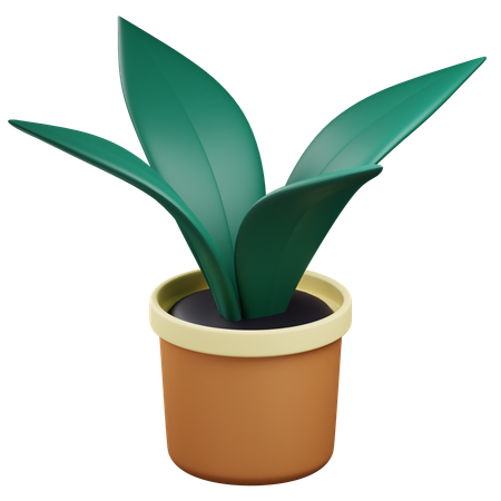 Maceta  3D Icon