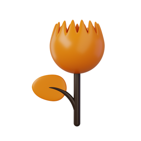 Macro Mode  3D Icon
