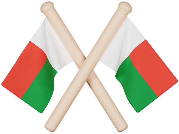 Madagaskar Flag  3D Icon