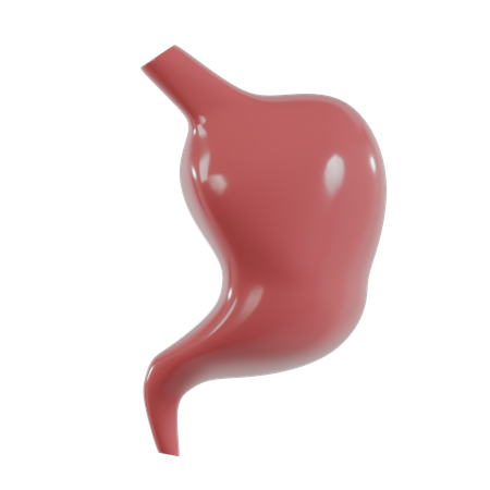 Magen  3D Icon