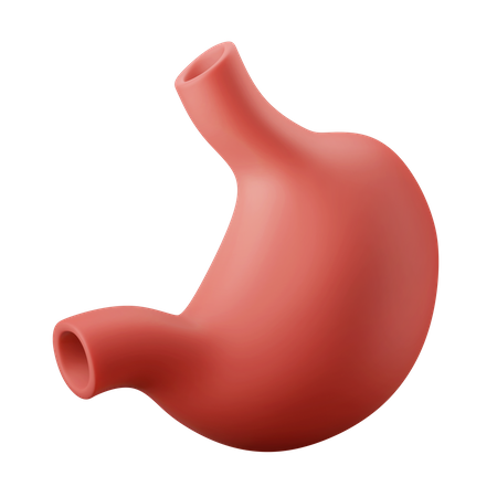 Magenorgan  3D Icon