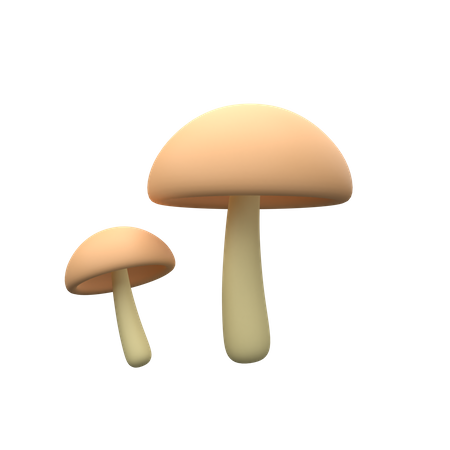 Magic Mushrooms  3D Icon