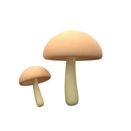 Magic Mushrooms  3D Icon
