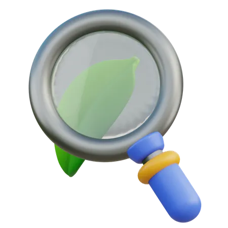 Magnifying Glass  3D Icon