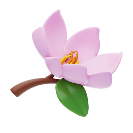Magnolia  3D Icon