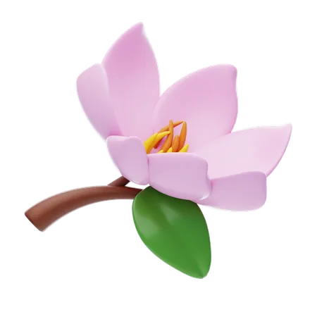 Magnolia  3D Icon