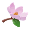 Magnolia