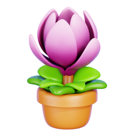 Magnolia  3D Icon