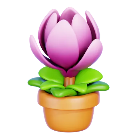 Magnolia  3D Icon