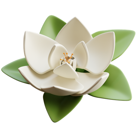 Magnolia  3D Icon