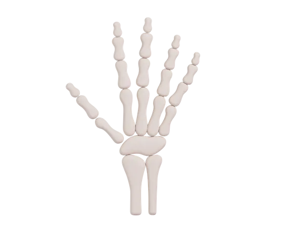 Main squelette  3D Icon