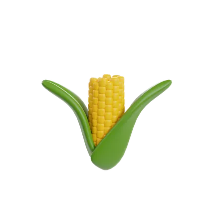 Maize  3D Illustration