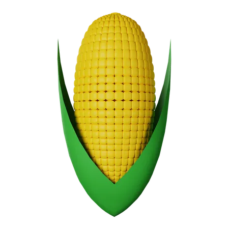 Maize  3D Icon