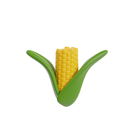 Maize  3D Illustration