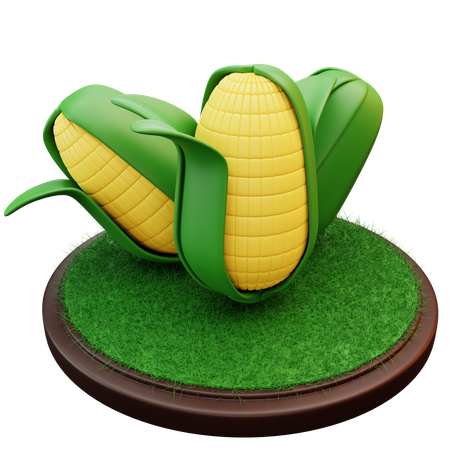 Maize 3D Illustration