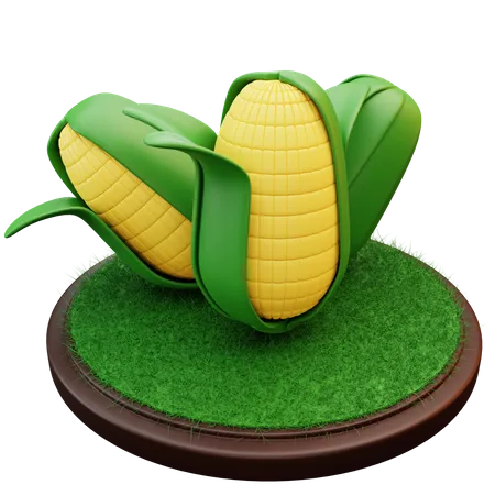 Maize  3D Illustration
