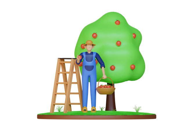 Man collecting apple  3D Illustration