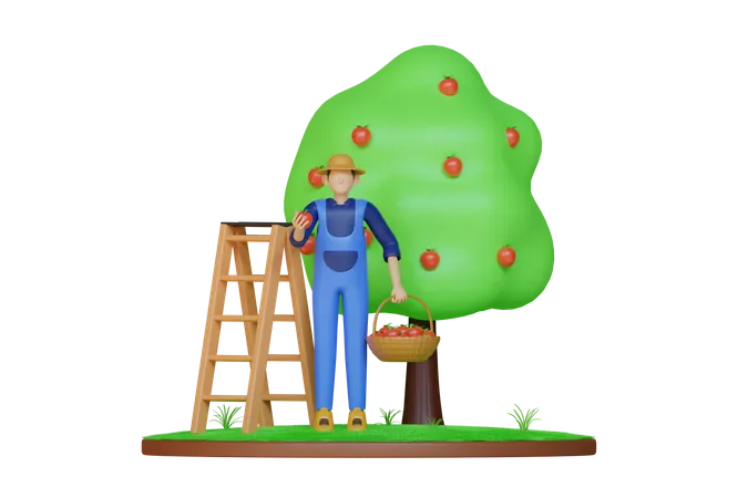 Man collecting apple  3D Illustration