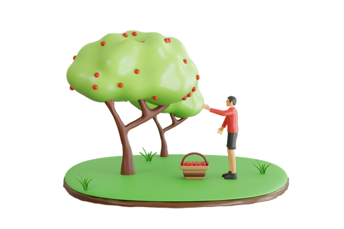 Man Harvesting Apple Fruits  3D Icon