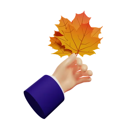 Man Holding Autumn Foliage  3D Illustration