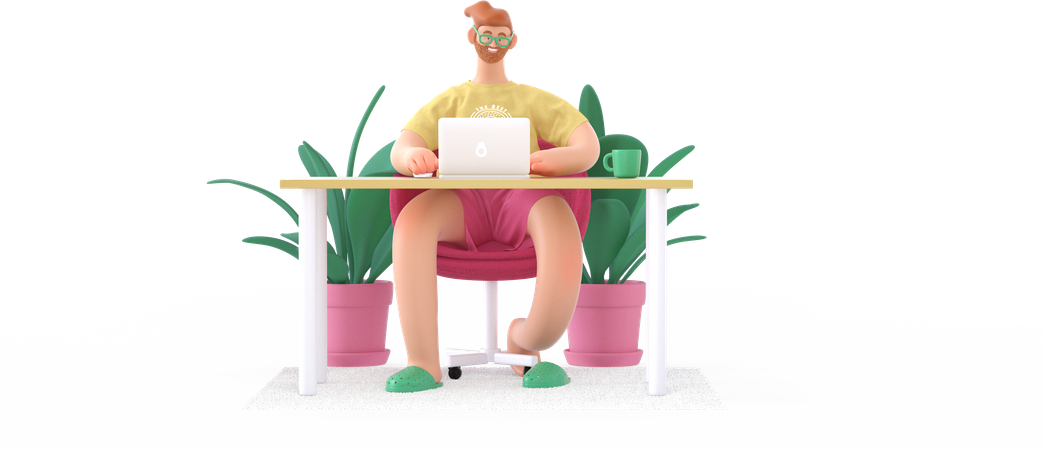 Man working from home  3D Illustration