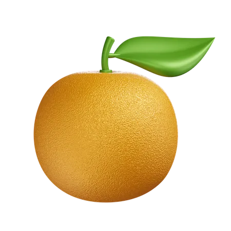 Mandarin Orange  3D Icon