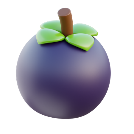 Mangosteen  3D Icon