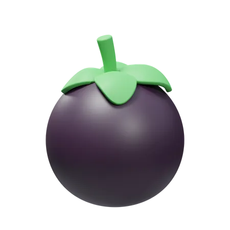 Mangosteen Fruit  3D Illustration