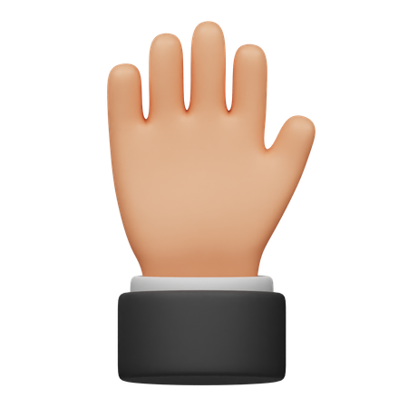 Mano de cinco dedos  3D Icon