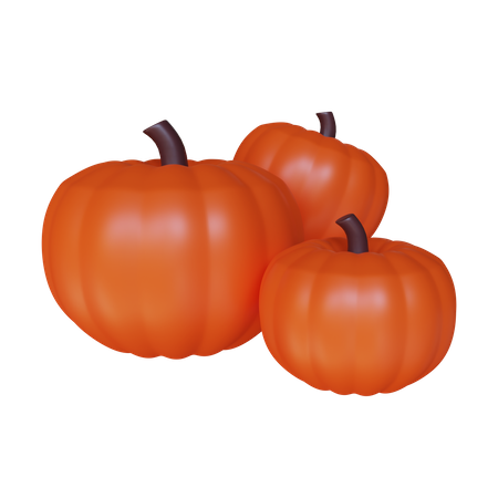 Manojo de calabaza  3D Illustration