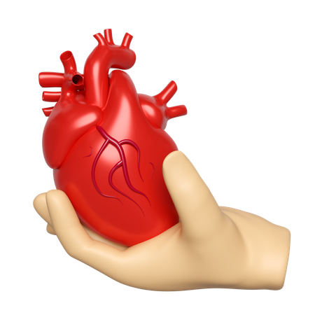 Manos sosteniendo el corazon  3D Icon