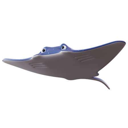 Manta Ray  3D Icon