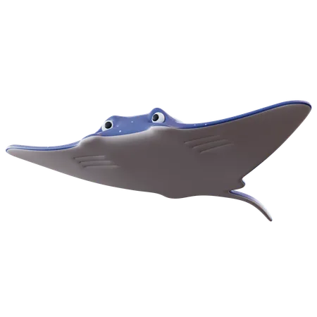 Manta Ray  3D Icon