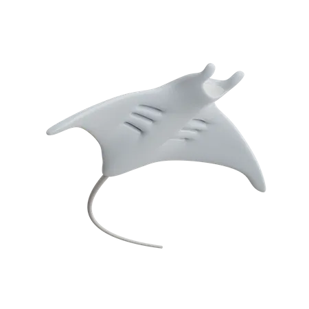 Manta Ray  3D Icon