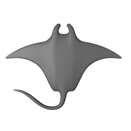 Manta Ray  3D Icon