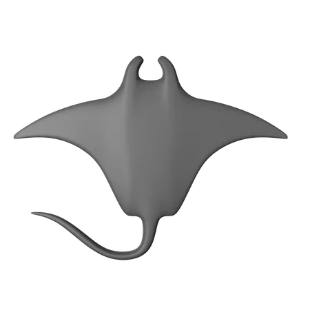 Manta Ray  3D Icon