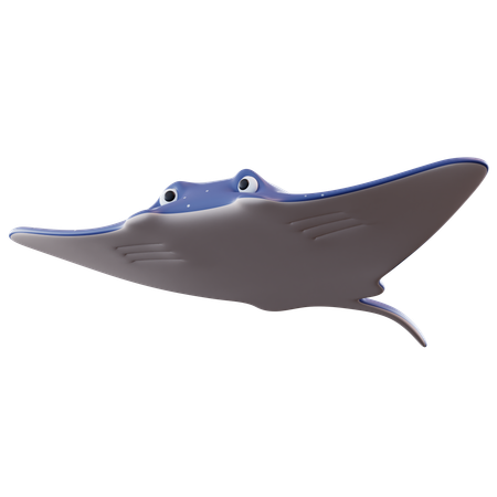 Rayo de manta  3D Icon