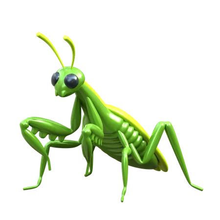 Mantis 3 D Insect Illustration 3D Icon