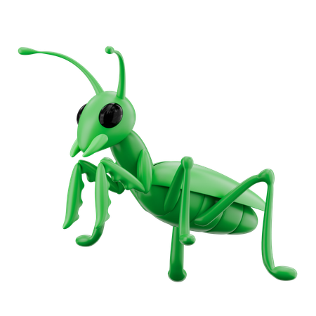 Mantis  3D Icon
