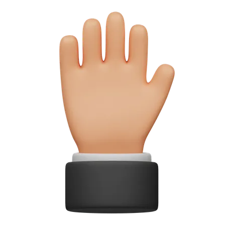 Mão de cinco dedos  3D Icon