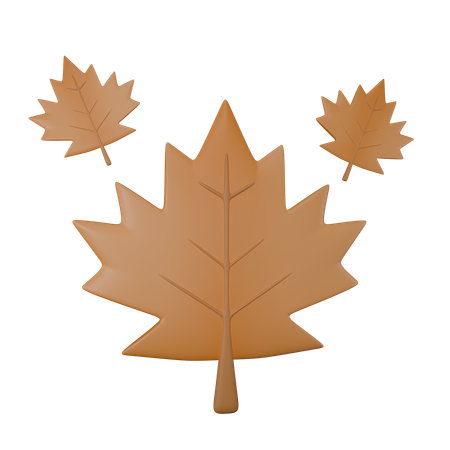 Maple Leaf  3D Icon