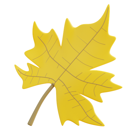 Maple Leaf  3D Icon